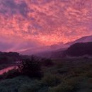 보성강5 이미지