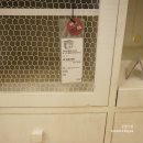 4960 | 바네스데코 매장 방문기 대전 가구