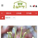 영양군온심마켓