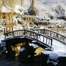 ㈜남산골전통두부 | "첫눈이 내린 수목원은 보기 힘들어요" 이번주 첫눈이 내려 할인까지 하는 겨울 여행지 수목원