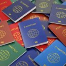국제 VISA 행정사 이미지