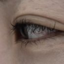 래쉬코드(LASH CODE)