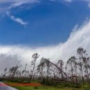 코리아안경 이미지