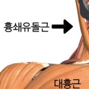 마인힐에스테틱 이미지