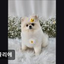 멍뜰리에 이미지