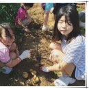 우강초등학교 이미지