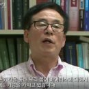 스페셜독 이미지