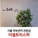 더셀트리스파 이미지