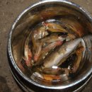 반곡유원지 이미지