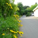 지산간이