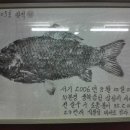 삼성지 이미지