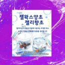 3956 쇼핑하우