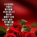 수요일 - 종로구 인사동길 36 | 수요일