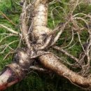 아랫도리 이미지