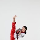 정무태권도 이미지