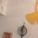 무거카라반 이미지