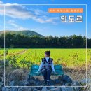 제주 비자림 예쁜 카페 안도르, 웨딩스냅사진 촬영명소