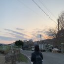 [내돈내산] 경주 감포 해변 근처 회포장, 수산직판장 내에 부부수산 방문 솔직 후기 - !!