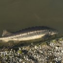 한국조리박물관 이미지