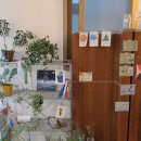 보리수카페 | 카페 추천] 보문역 안암동 반려동물 동반 가능한 카페 보리수 borisoo, 조용하고 채광 좋은 공간 (주차...