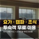 햇살정원 제주캠핑민박 | 제주 신성의숲 부티크호텔 3박4일 후기! 요가 캠프파이어 조식 포함