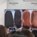 디자인스미다 | 미술 전공 컬러리스트 스미다컬러 세미나교육 후기