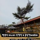 인디안 | [팔공산 미나리삼겹살]경북 칠곡 맛집 인디안참숯구이 먹고 온 후기