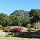 무릉도원면-50 이미지