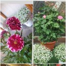 명인면옥 이미지