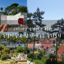 [뚜벅이 남해여행 #3] 원예예술촌 | 독일마을 | 해오름예술촌 비교 추천 후기