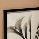 제너리스의원 광명철산 이미지