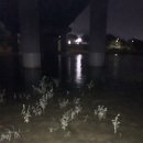 하이트주유소 이미지