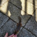 작은 동물원 이미지