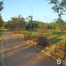 조해영농장 이미지