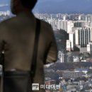 24.08.13 - 한쪽은 소득절벽 한쪽은 신고가