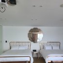 슈가브리움 이미지