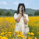 구미강정 이미지