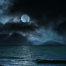 희미한옛사랑의 그림자 이미지