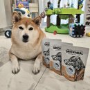 포독 | 기호성 좋은 노령견사료, 그린밀 홀스포독 바이트 솔직 급여후기