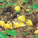 닮아가다 이미지