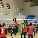 해적캡틴 이미지