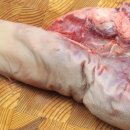 주식회사 두드림 이미지