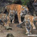 신용식당 이미지