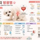 멍멍이네 - 경산시 대학로 385 | 멍멍이네