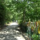 백운동 계곡 이미지