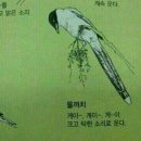 물까치의 울음소리를 따라해 봅시다. 이미지