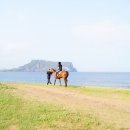 J승마체험장