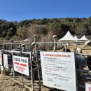 공룡타조랜드 이미지