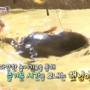 햇님농장 이미지