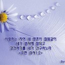 Re: 또 하나의 열매를 바라시며 이미지